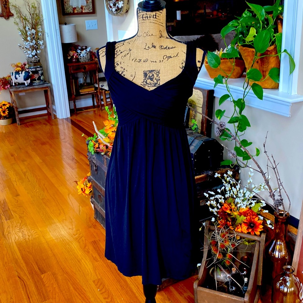 Classic Black Dress by Max Studio